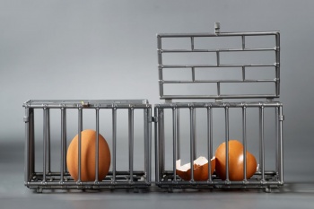 ISMAYA Commits to Cage-Free Eggs